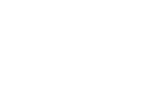 Bargas Wellness Logo